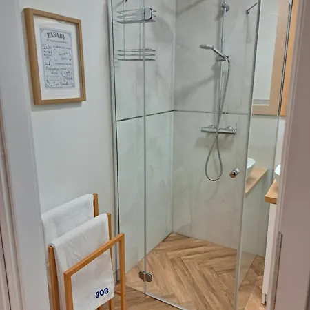 303 슈비노우이스쳬