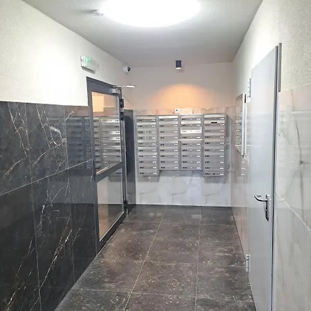 303 슈비노우이스쳬