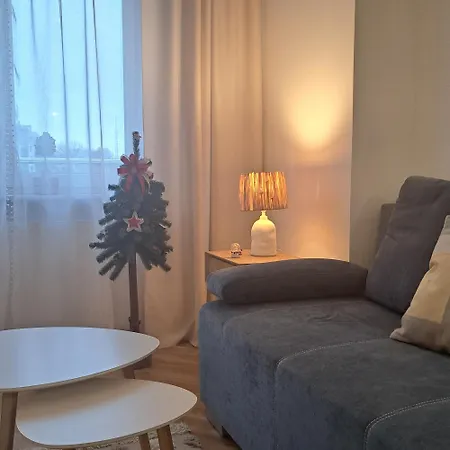 303 슈비노우이스쳬