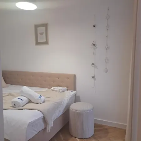 303 슈비노우이스쳬