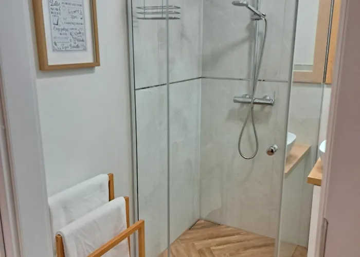 303 슈비노우이스쳬